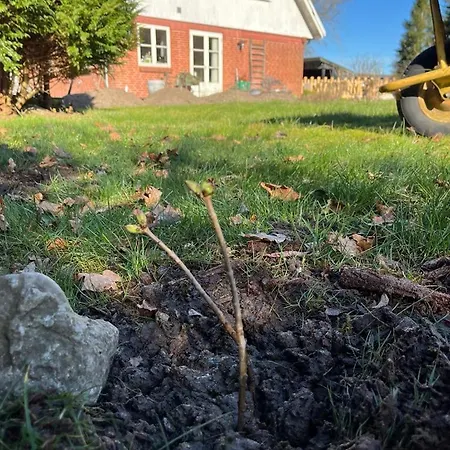Vestervang 1, 8654 Homestay szállás